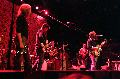 ironwine-calexico01.jpg