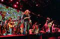 ironwine02.jpg