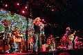 ironwine03.jpg