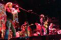 ironwine04.jpg